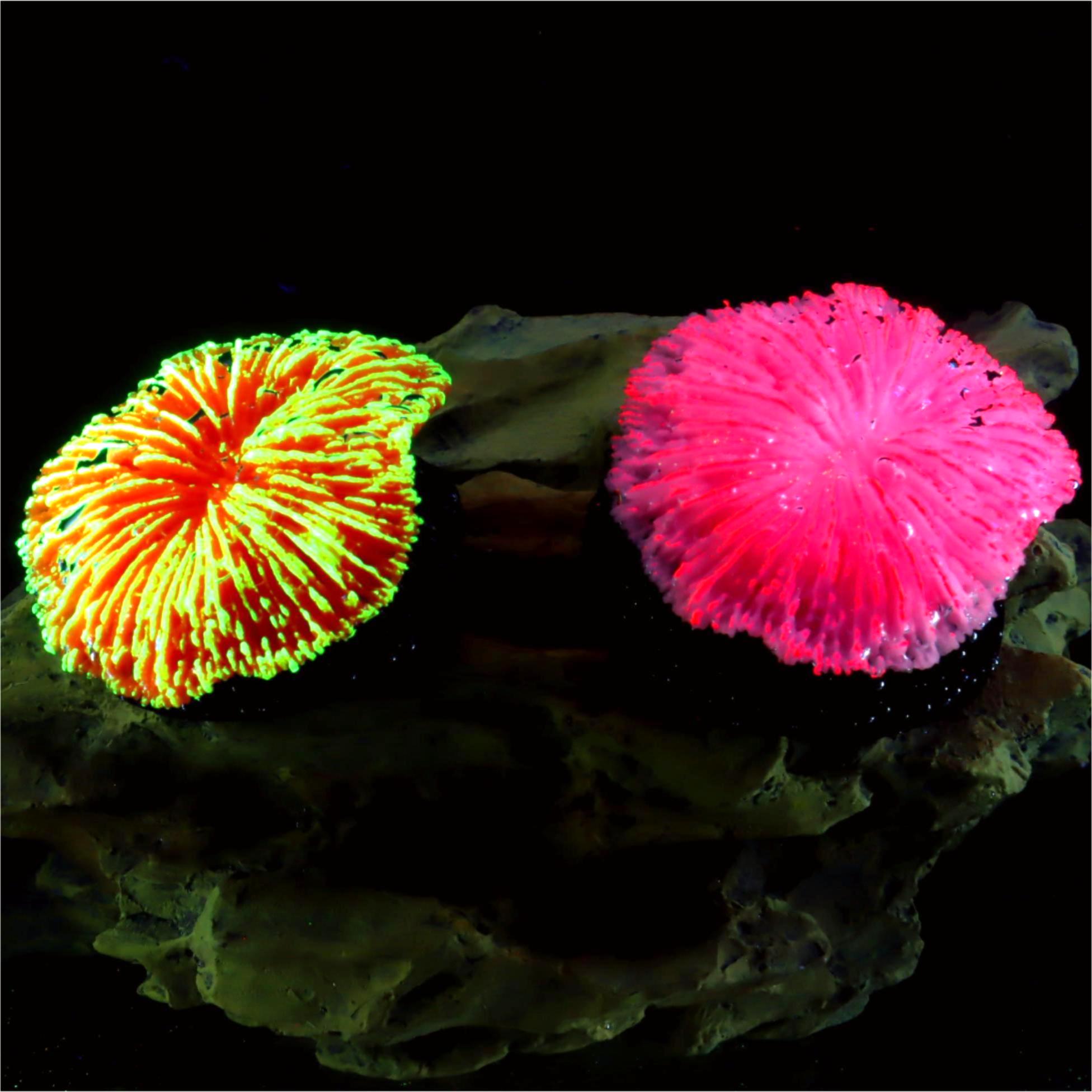 Aquarium Plants Live - 1 Piece Aquarium Decoration Saw Coral,