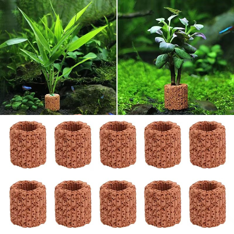 Aquarium Plants Live - Aquatic Plant Fixed Ring for Aquarium