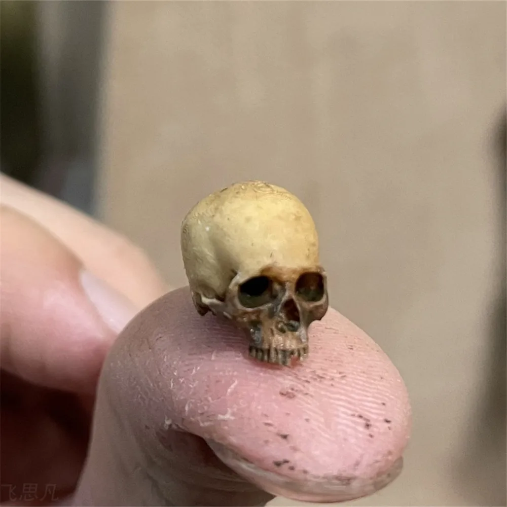 Planted Tank - Mini Skull High Quality Miniature Model