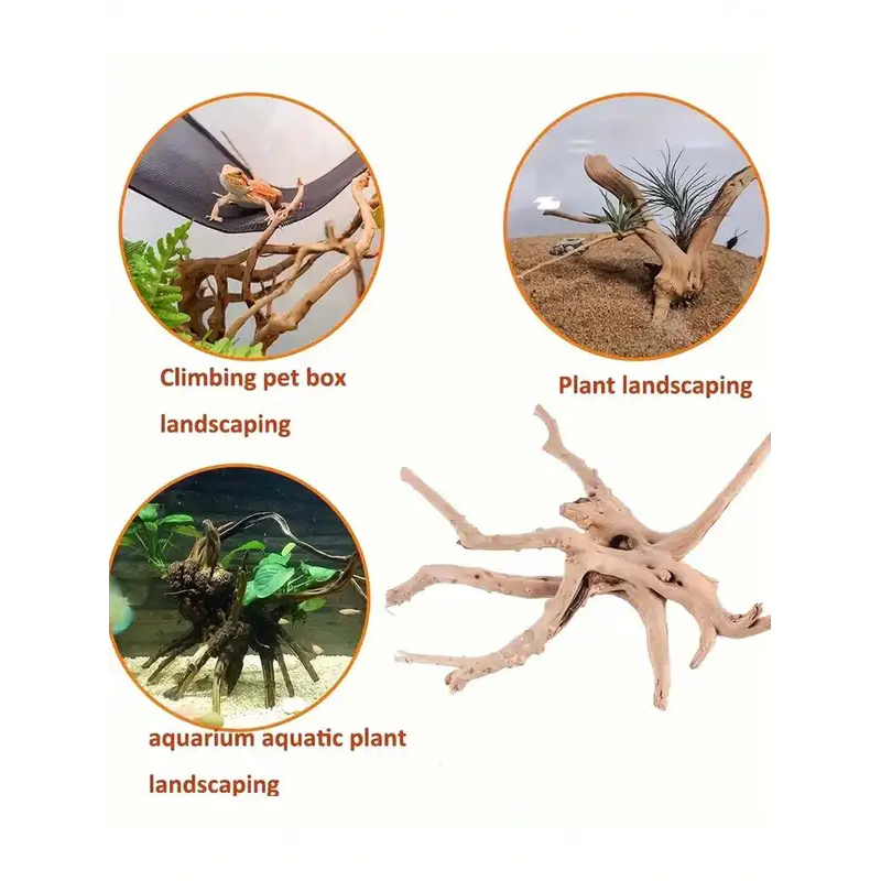 Natural Driftwood for Aquarium - Aquarium Plant Substrate ulasan dan harga