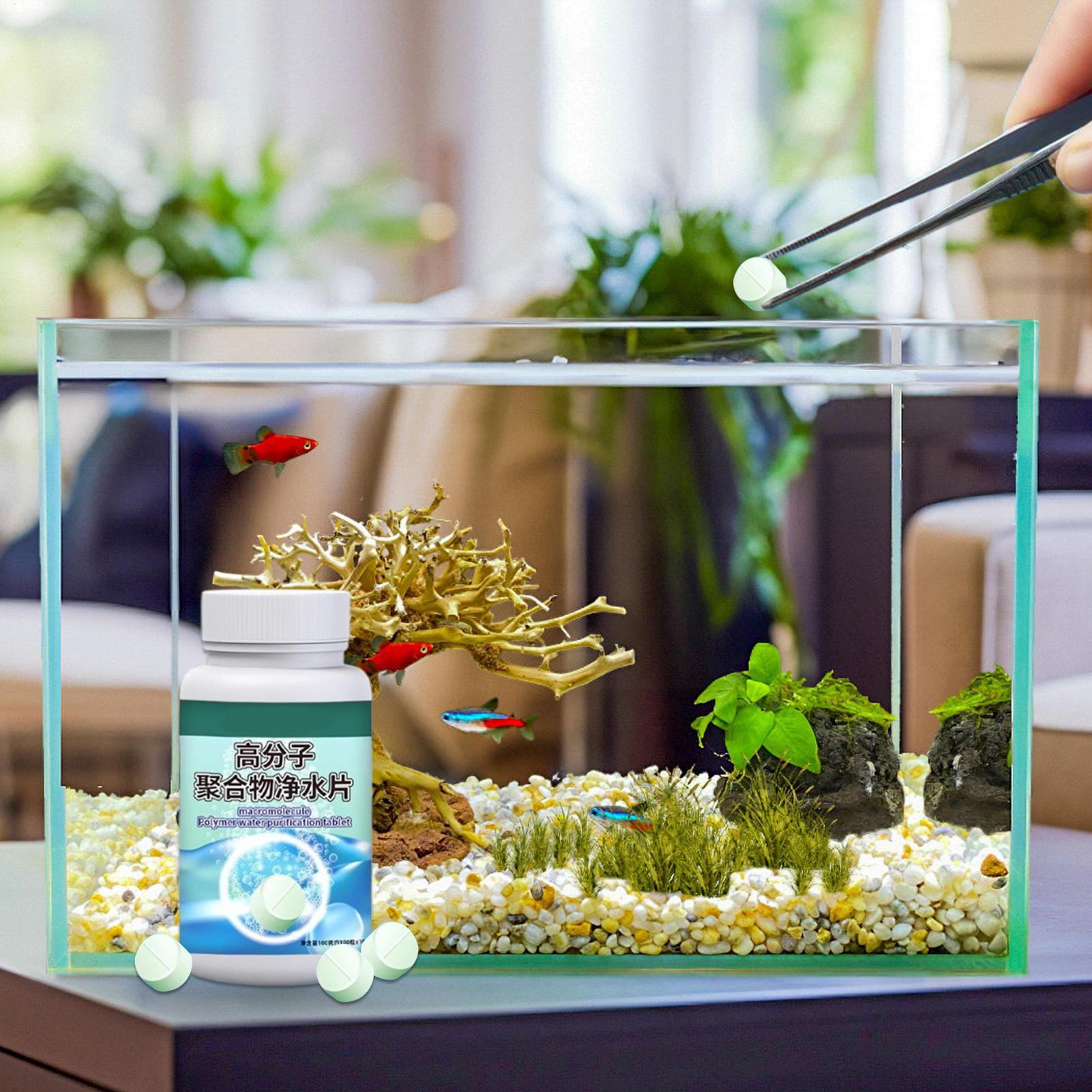 Fish Can Algae Remover Aquariu - Aquarium Liquid Carbon ulasan dan harga