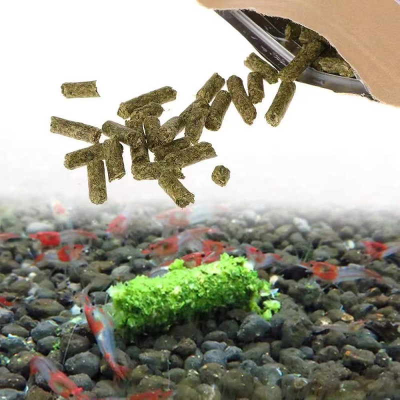 Spinach Shrimp Feed Ornamental - Aquarium Fertilizer ulasan dan harga