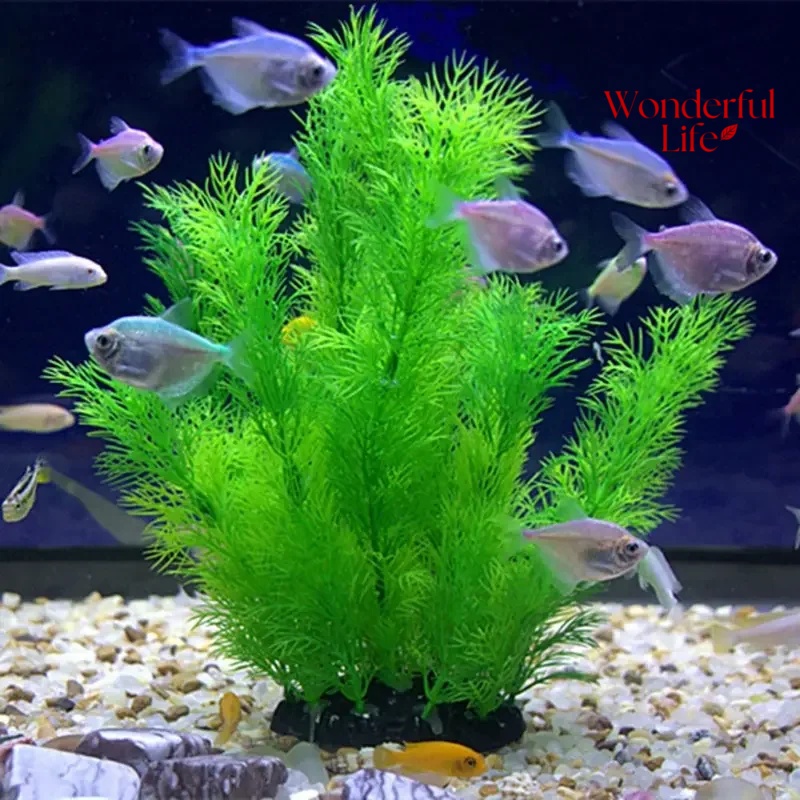 19/30CM Water Grass Aquatic Pl - Aquarium Plant Substrate ulasan dan harga