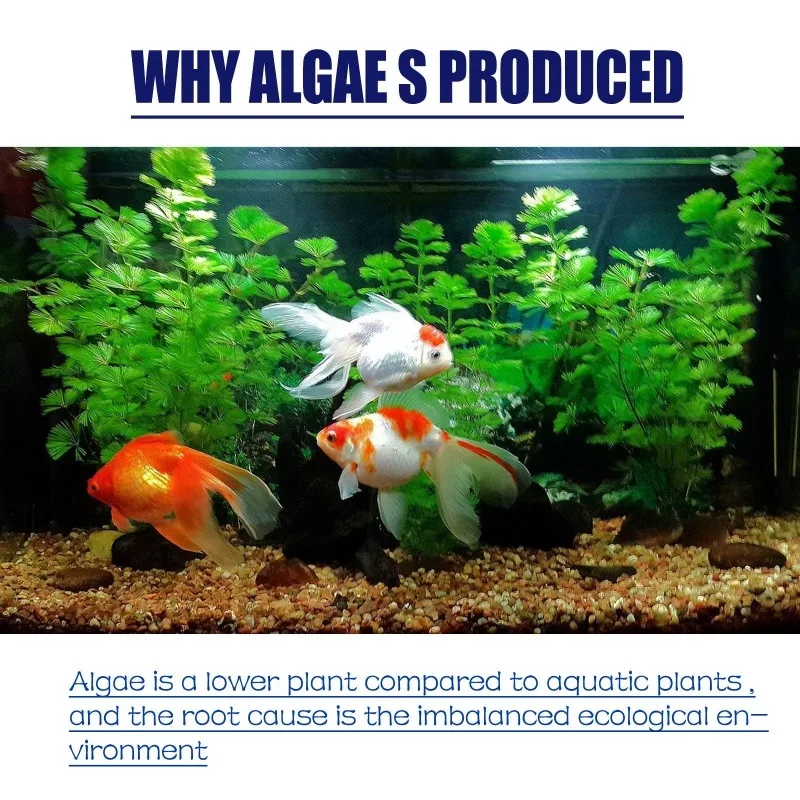 50g High Efficiency Algaecide  - Aquarium Fertilizer ulasan dan harga