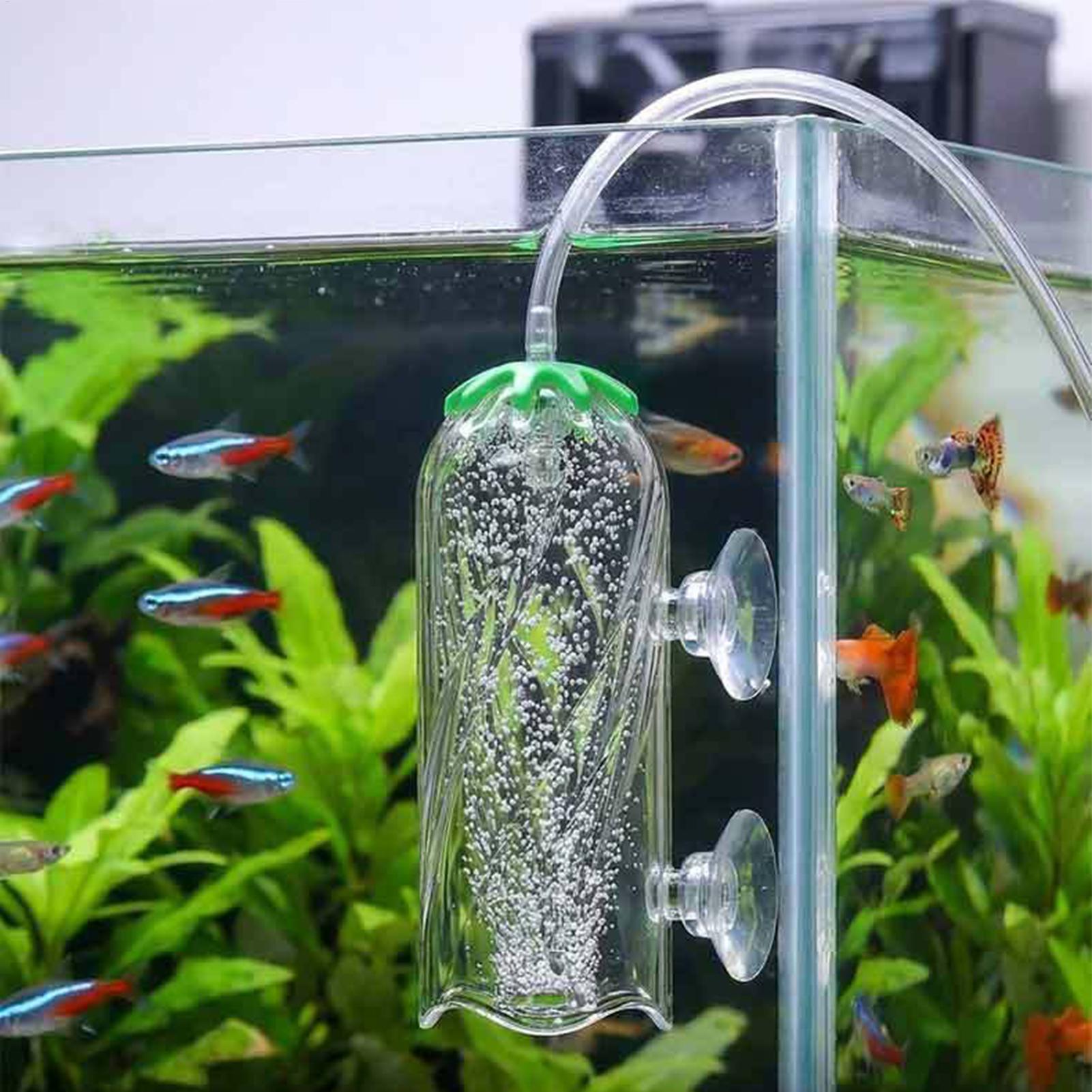 Fish Tank Oxygen Diffuser Spla - Aquarium Planted Tank Filter ulasan dan harga