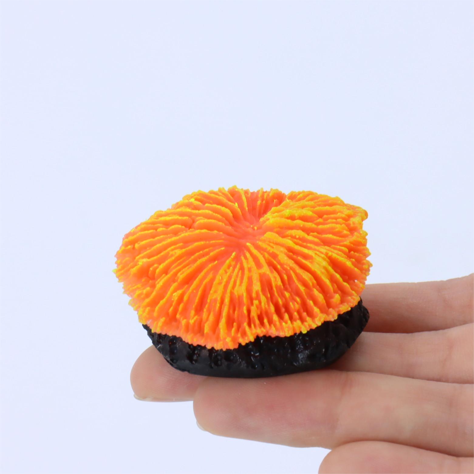 1 Piece Aquarium Decoration Sa - Aquarium Plants Live ulasan dan harga