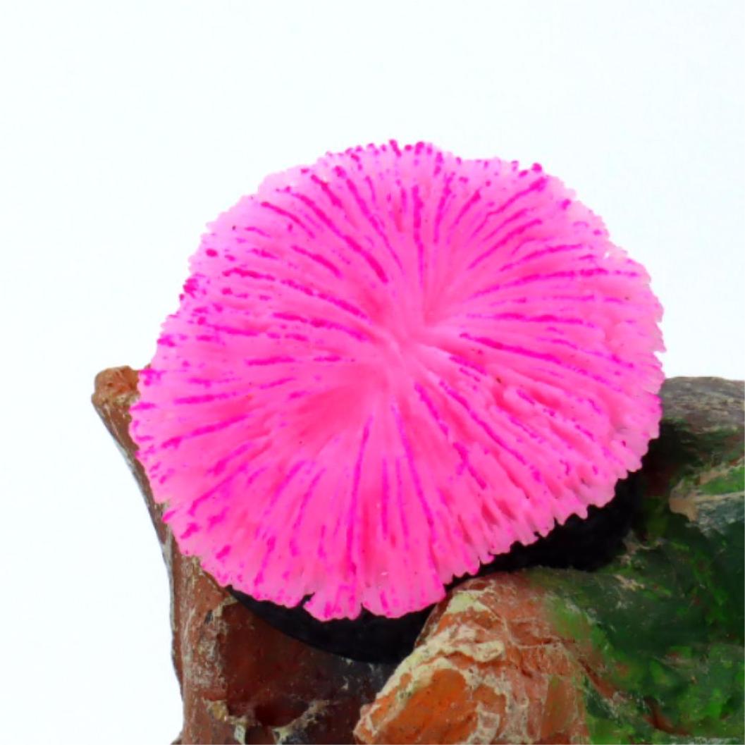 1 Piece Aquarium Decoration Sa - Aquarium Plants Live ulasan dan harga