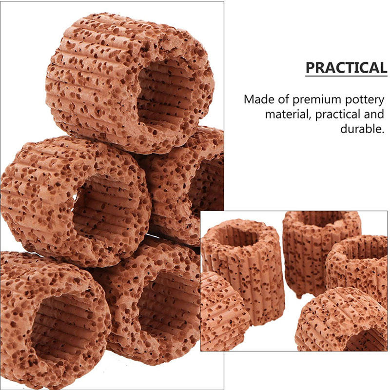 Aquatic Plant Fixed Ring for A - Aquarium Plants Live ulasan dan harga