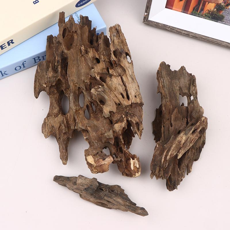 Shrimp Wood Aquarium Decor, Dr - Aquarium Driftwood ulasan dan harga