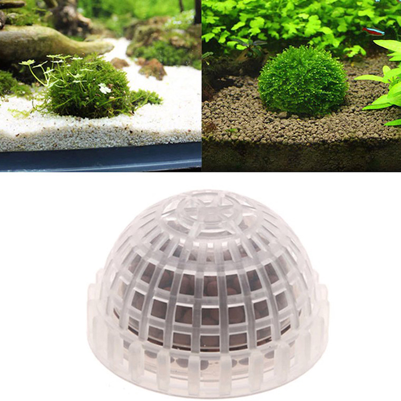 .1Pc Aquatic Pet Supplies Deco - Live Plant Aquarium ulasan dan harga