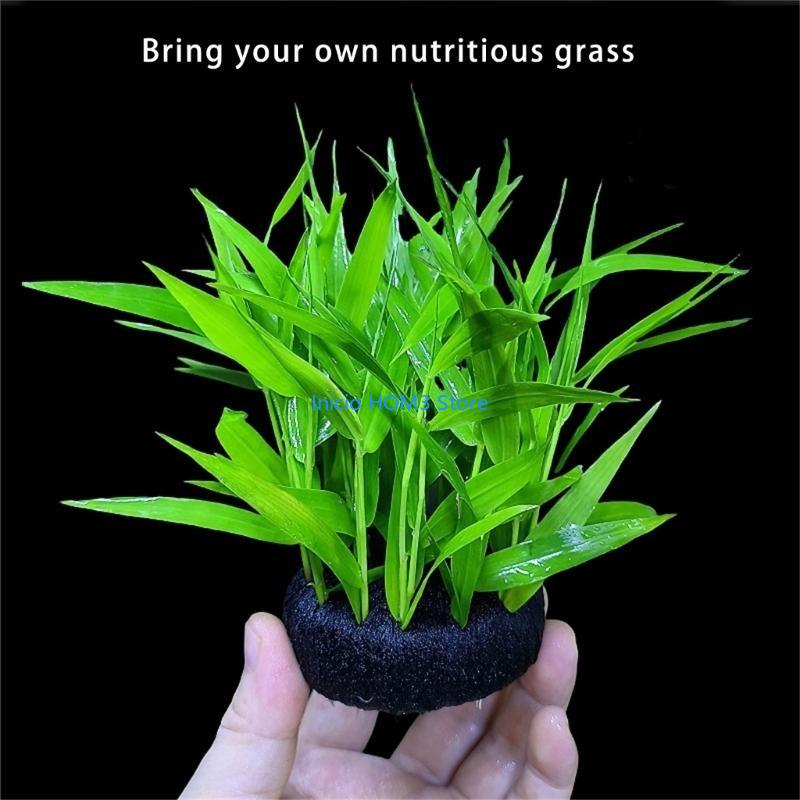 A5YD High Performances Aquariu - Aquarium Plant Substrate ulasan dan harga