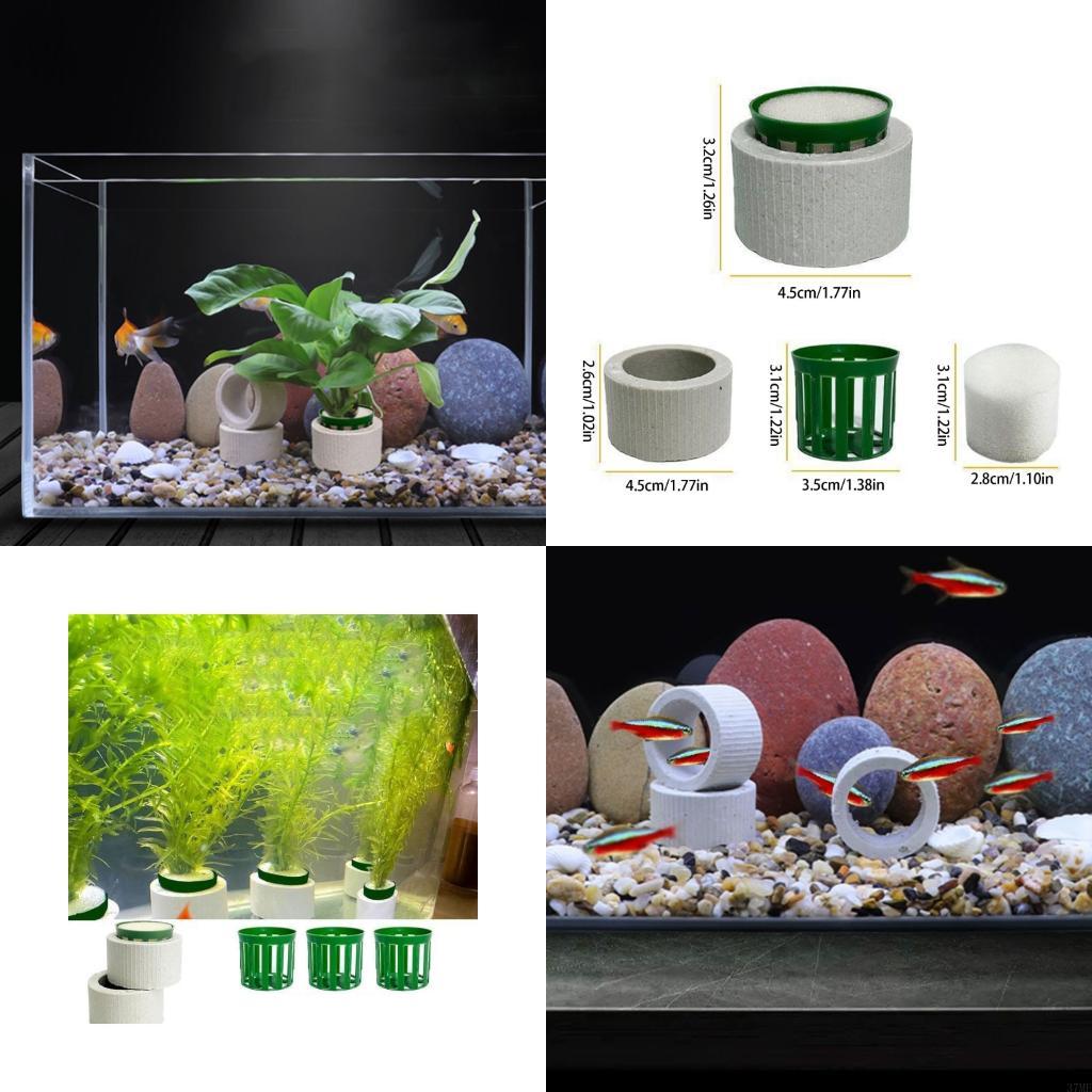 37ME Ceramic Aquarium Plant Ri - Aquarium Plant Holder ulasan dan harga
