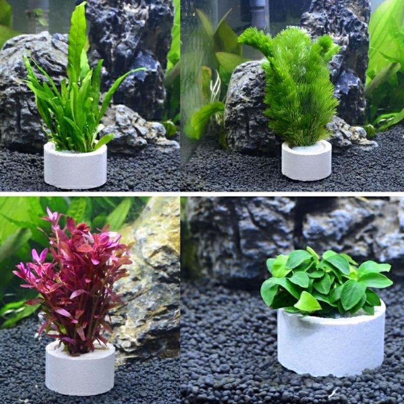 37ME Ceramic Aquarium Plant Ri - Aquarium Plant Holder ulasan dan harga