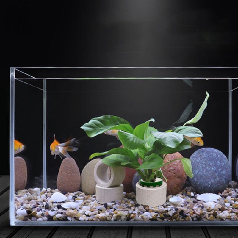 37ME Ceramic Aquarium Plant Ri - Aquarium Plant Holder ulasan dan harga