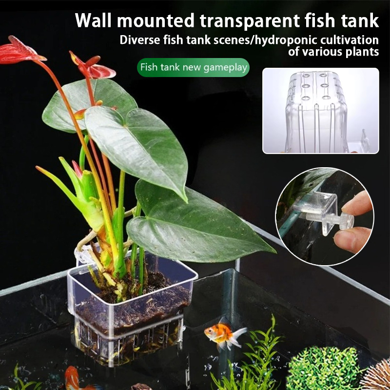 Aquarium Hanging Planter Cups  - Aquarium Plants Live ulasan dan harga