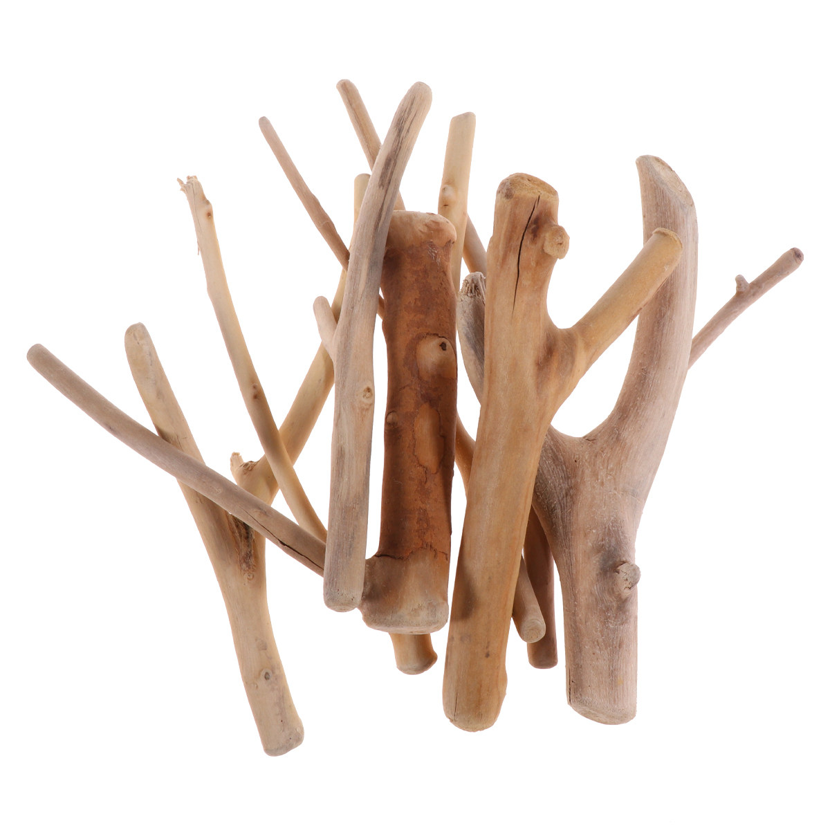 Natural Y-Shape Driftwood Orna - Aquarium Driftwood ulasan dan harga