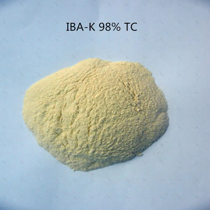 10Gram-1KG 98% IBA-K Water Sol - Aquarium Fertilizer ulasan dan harga