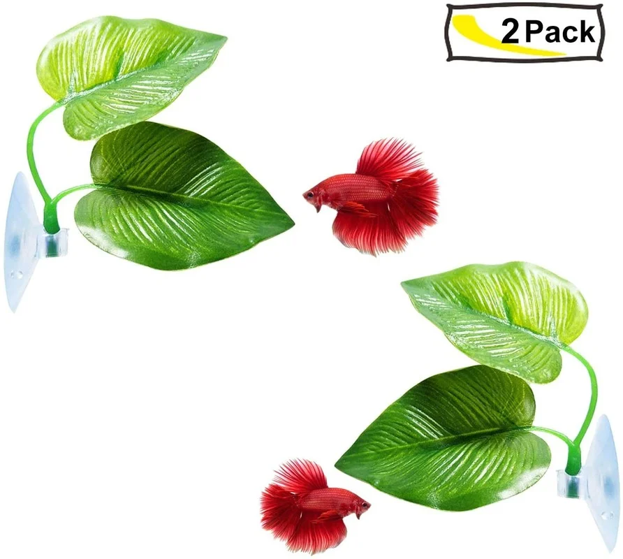 Betta Fish Leaf Hammock Simula - Aquarium Moss ulasan dan harga