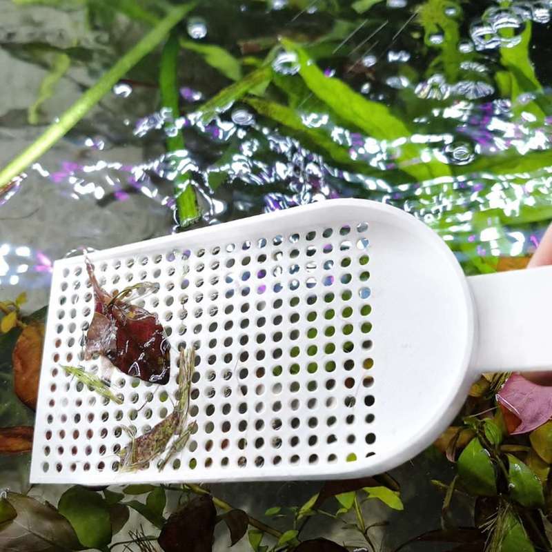 Aquarium Fish Tank Debris Scoo - Planted Aquarium Cleaning ulasan dan harga