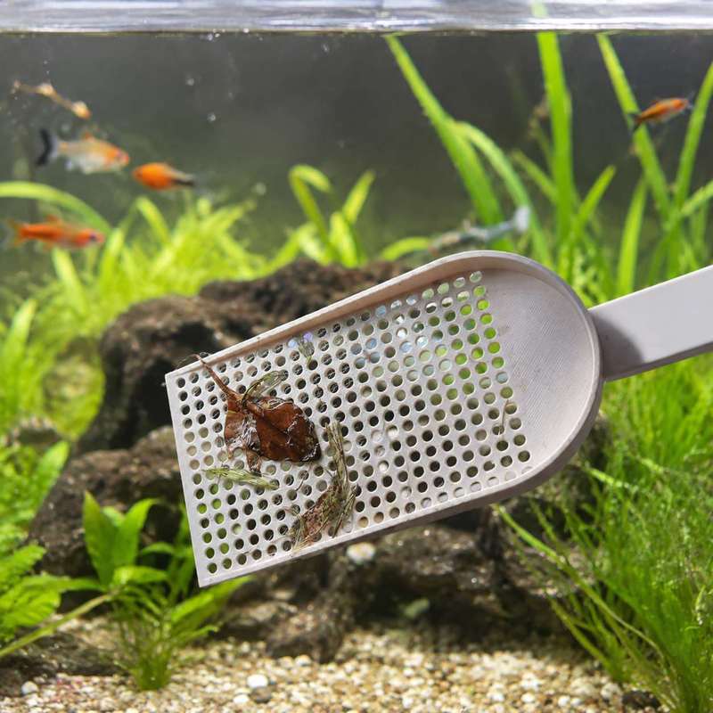 Aquarium Fish Tank Debris Scoo - Planted Aquarium Cleaning ulasan dan harga