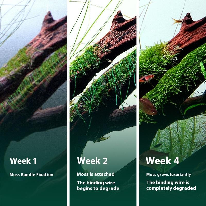 200M Naturally Degradable Moss - Aquarium Moss ulasan dan harga