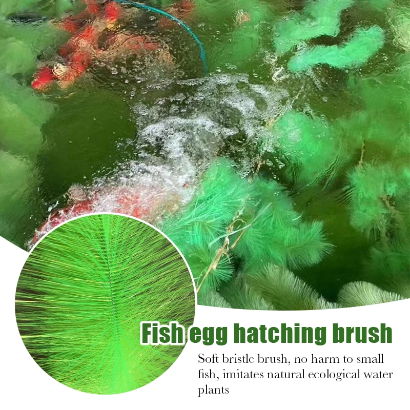 60Cm/100Cm Artificial Aquarium - Live Plant Aquarium ulasan dan harga