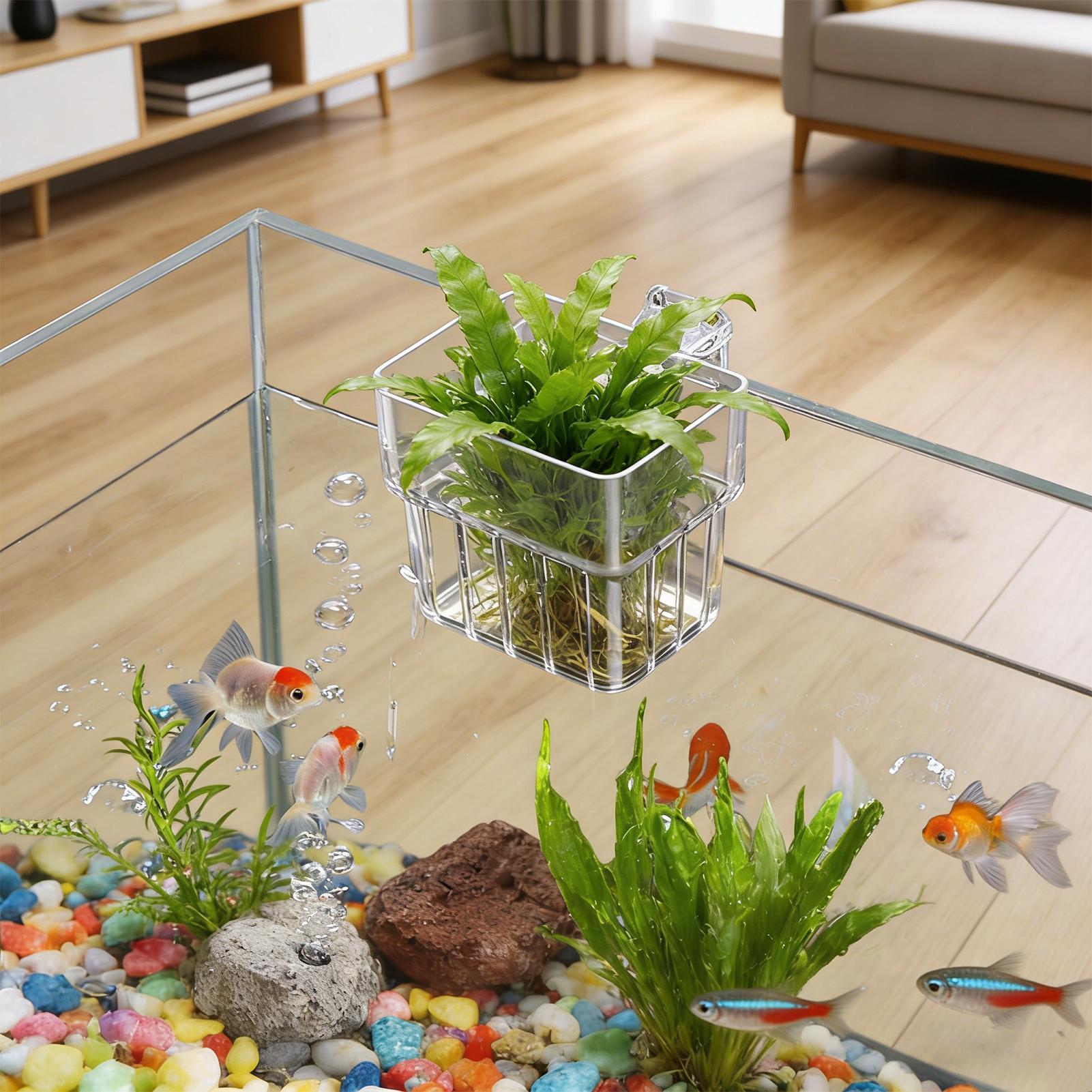 Transparent Hangable Aquarium  - Plant Aquarium Pot ulasan dan harga
