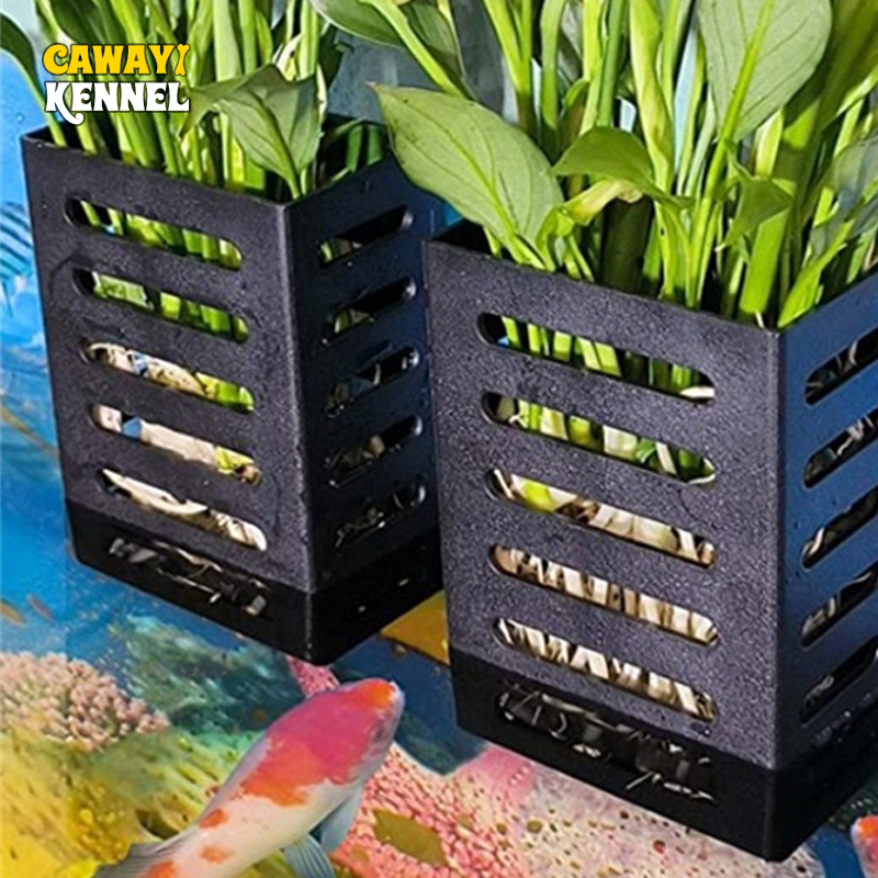 Pet Fish Tank Decorations Aqua - Aquarium Plants Live ulasan dan harga