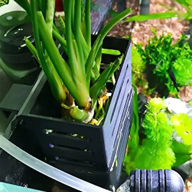 Pet Fish Tank Decorations Aqua - Aquarium Plants Live ulasan dan harga