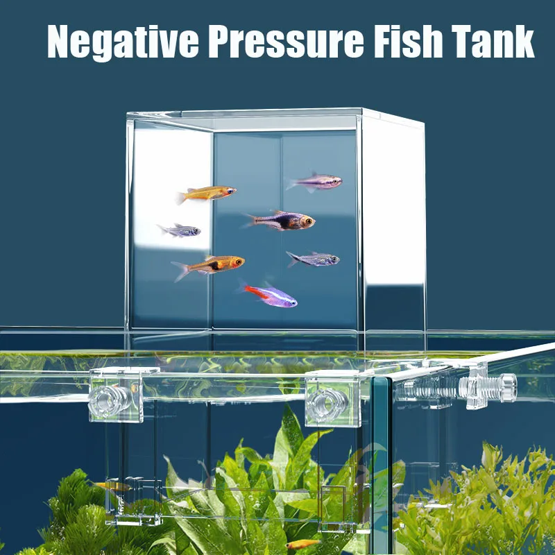 Creative Aquarium Tanks Negati - Plant Aquarium Pot ulasan dan harga