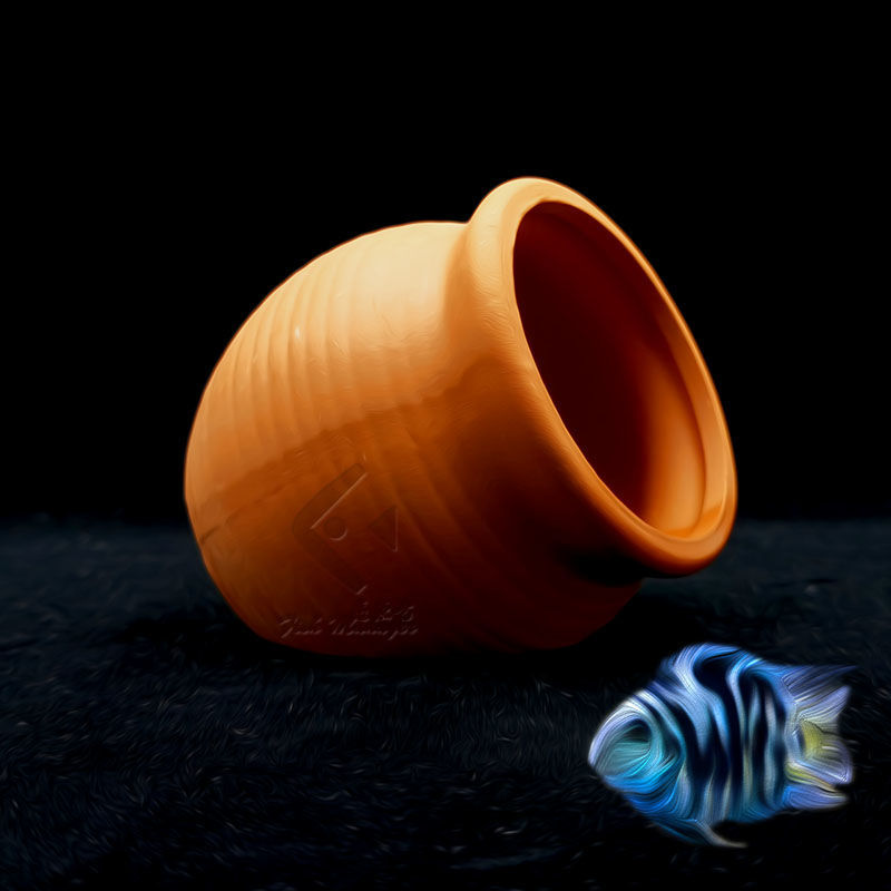 Aquarium Mini Ceramic Tank Fis - Plant Aquarium Pot ulasan dan harga