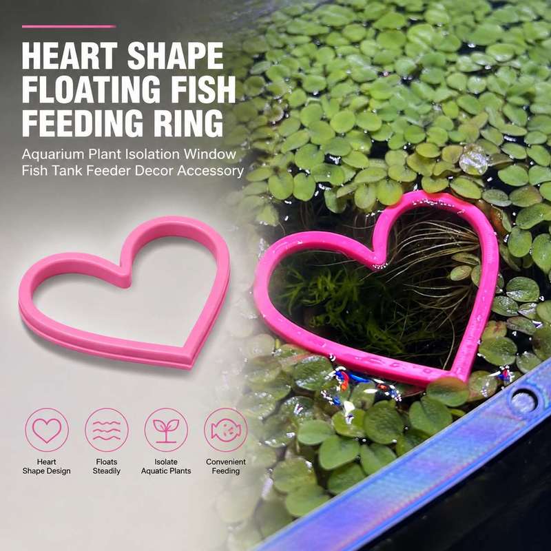 Heart Shaped Floating Fish Fee - Aquarium Fertilizer ulasan dan harga
