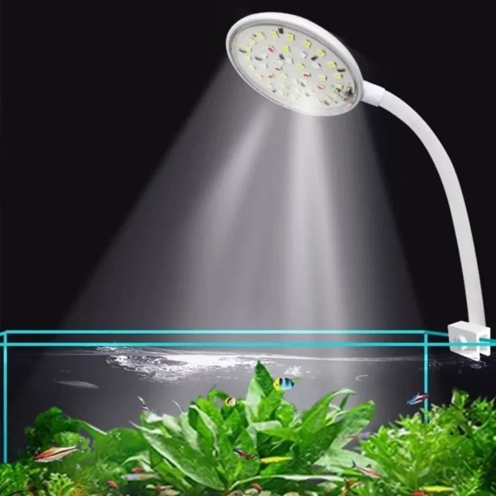 New Mini Fish Tank Clip Lamp 5 - Live Plant Aquarium ulasan dan harga