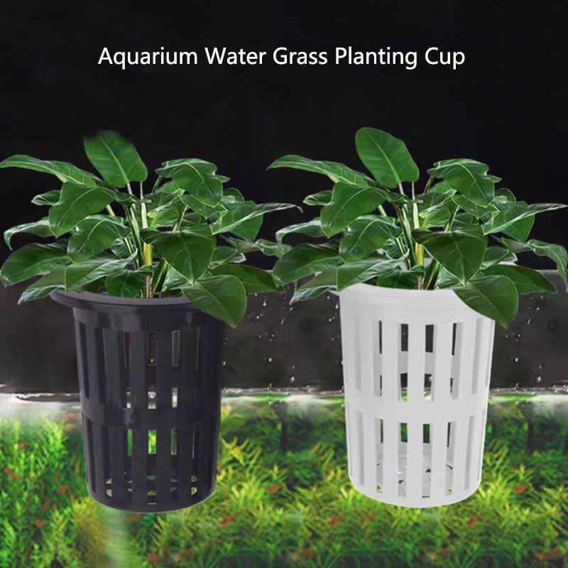 1/3Pcs Aquarium Plant Basket W - Aquarium Plants Live ulasan dan harga
