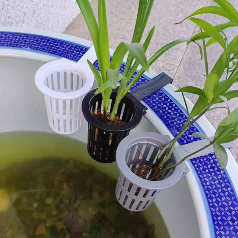 1/3Pcs Aquarium Plant Basket W - Aquarium Plants Live ulasan dan harga