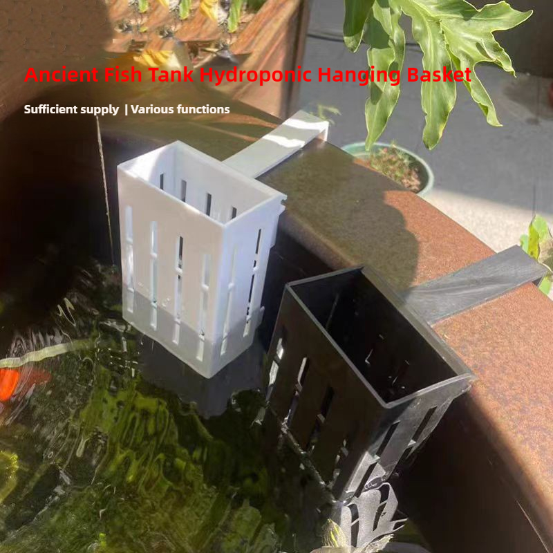 1/3Pcs Aquarium Plant Basket W - Aquarium Plants Live ulasan dan harga