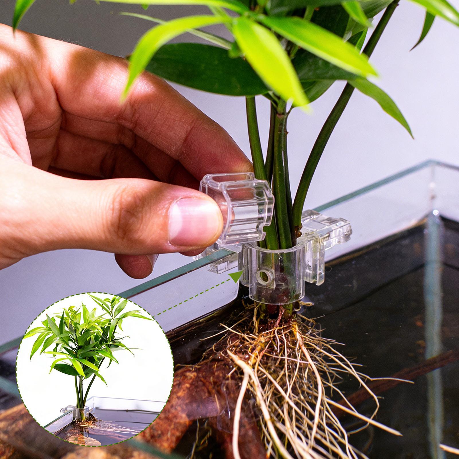 Mini Fish Tank Planter Pot 6Pc - Aquarium Fertilizer ulasan dan harga