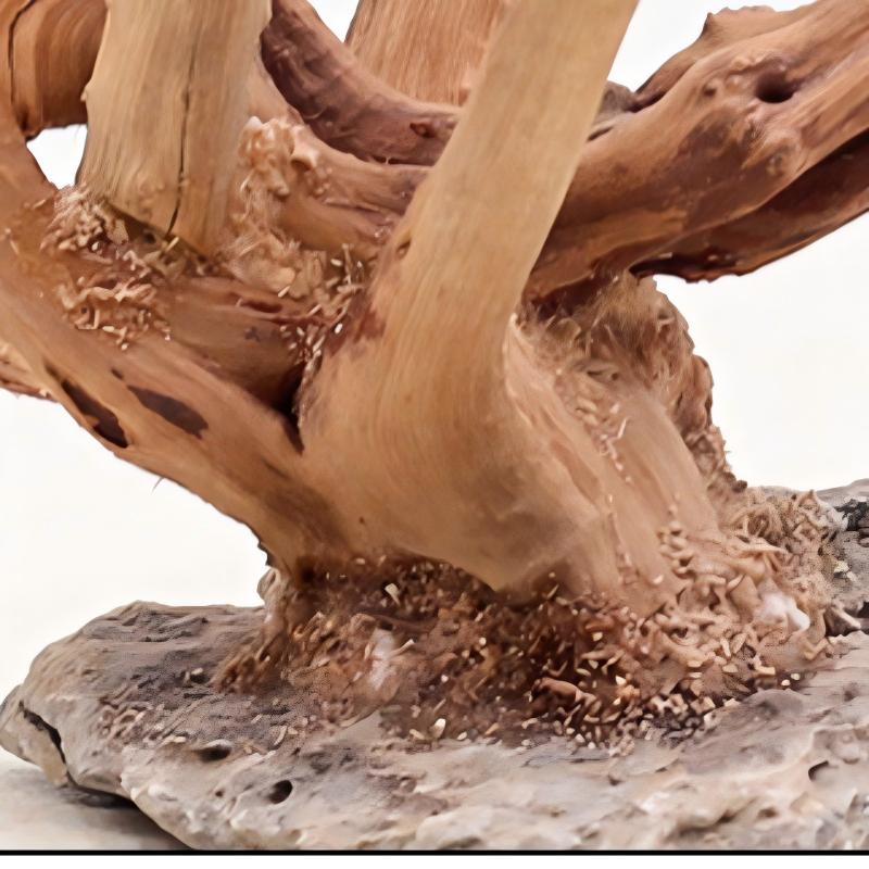 1PC Aquarium Landscaping Wood  - Aquarium Driftwood ulasan dan harga
