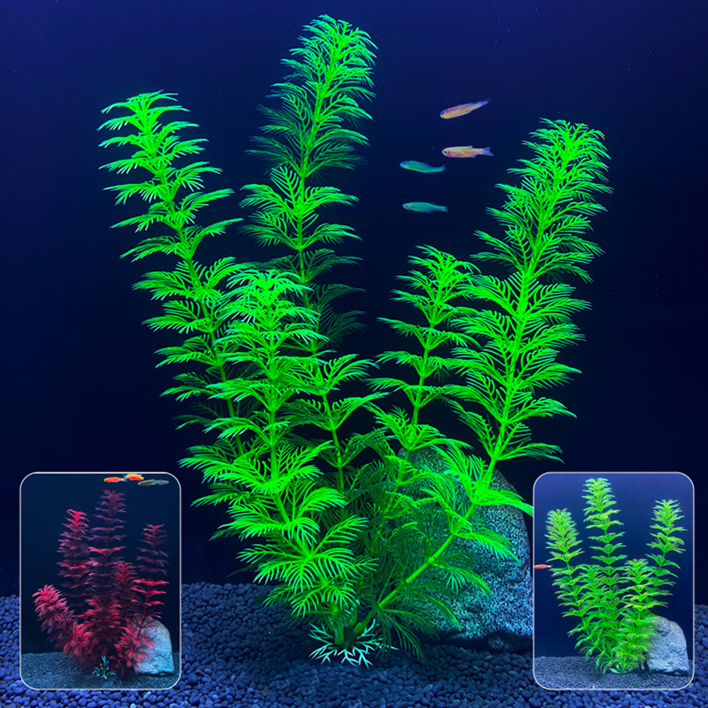 14cm - 30cm Fake Aquarium Plan - Live Plant Aquarium ulasan dan harga