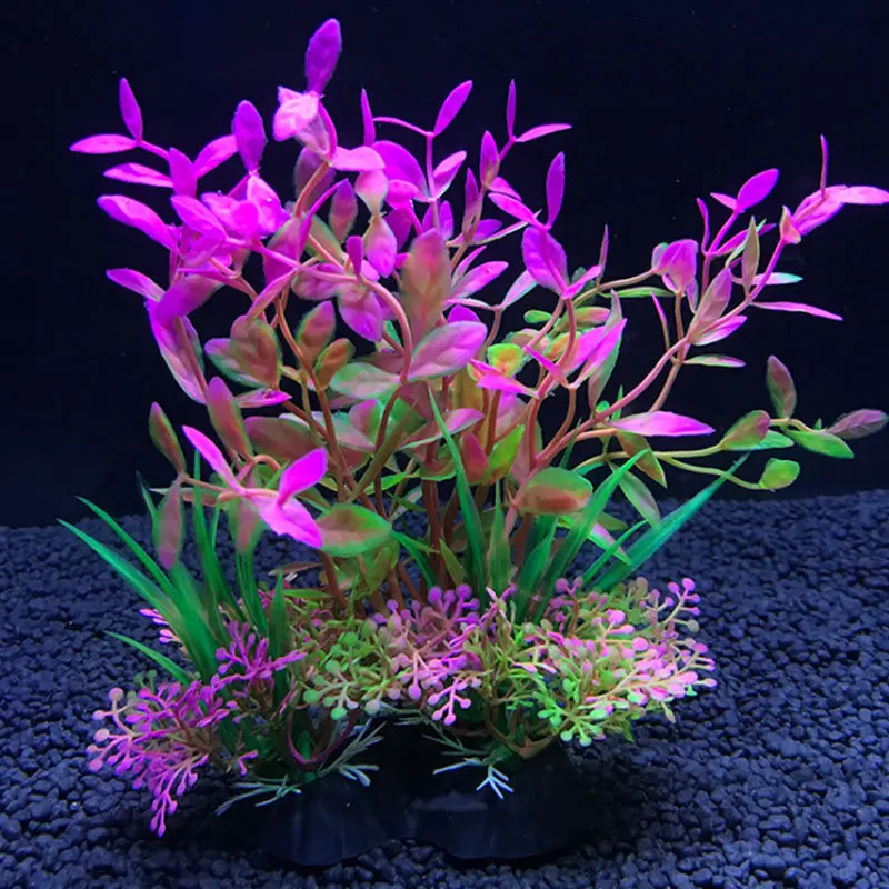 Aquarium Artificial Decor Plan - Live Plant Aquarium ulasan dan harga