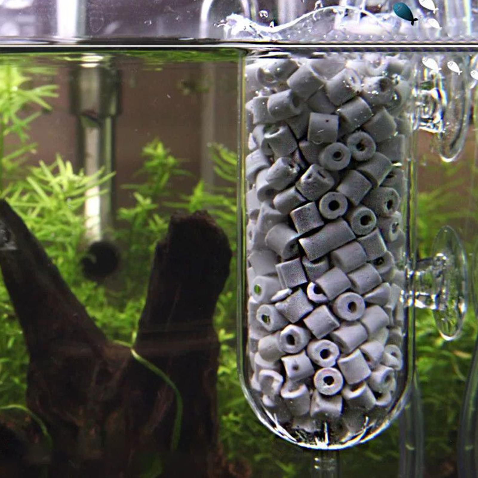 Fish Tank Air Pump Diffuser Sp - Aquarium Planted Tank Filter ulasan dan harga