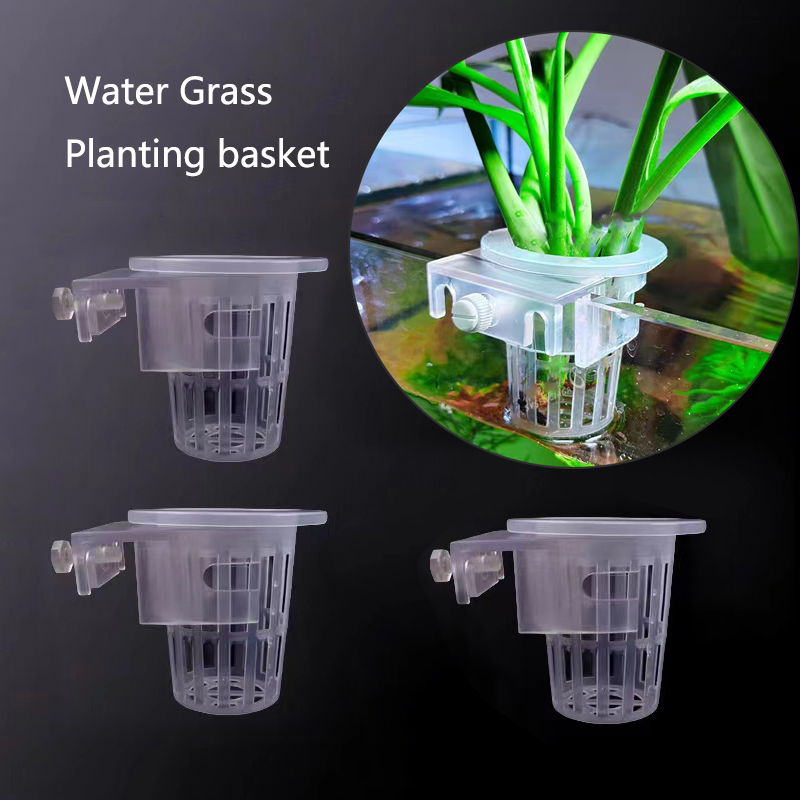 Aquarium Planting Basket Hydro - Aquarium Plants Live ulasan dan harga