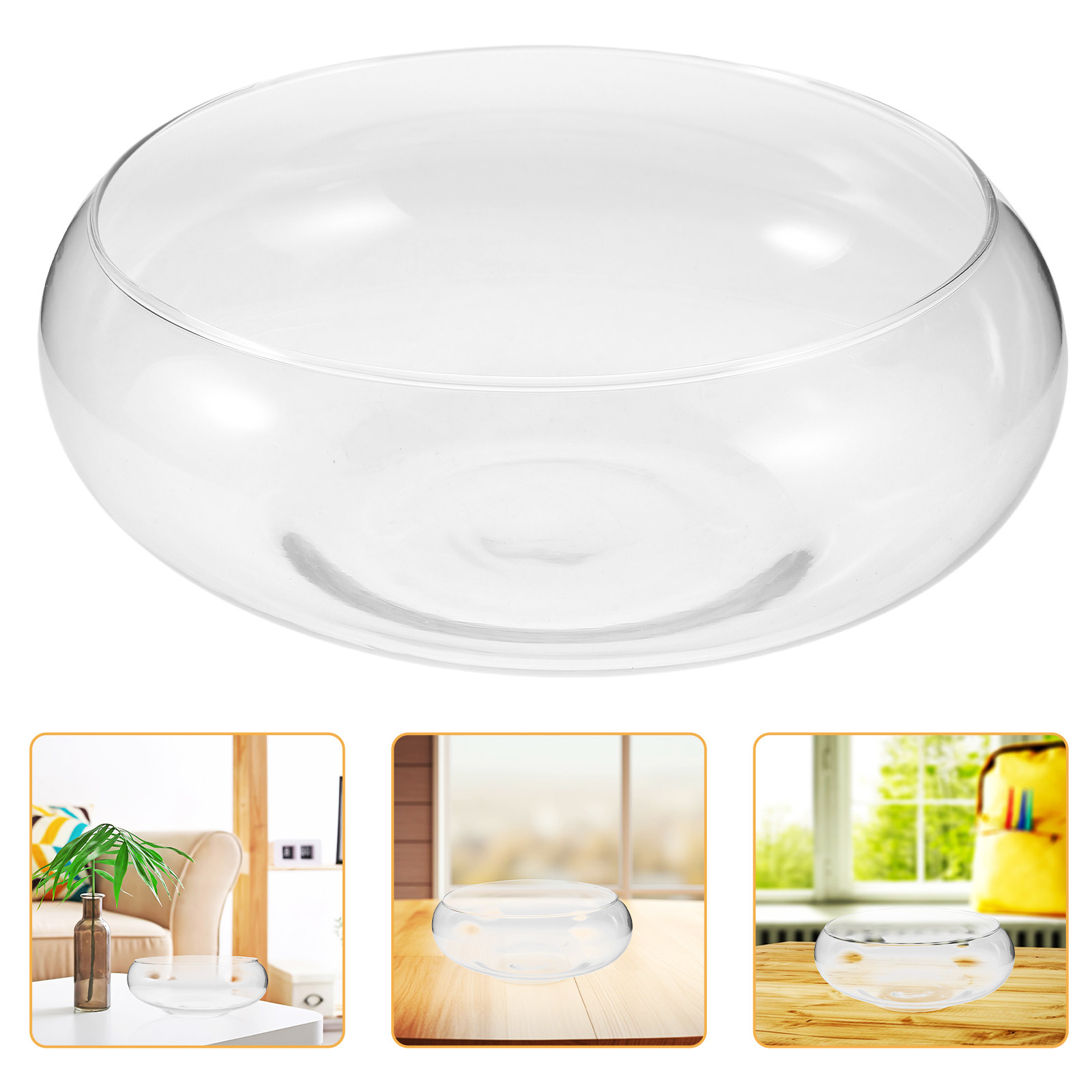 Glass Hydroponic Planter Bowl  - Planted Tank ulasan dan harga