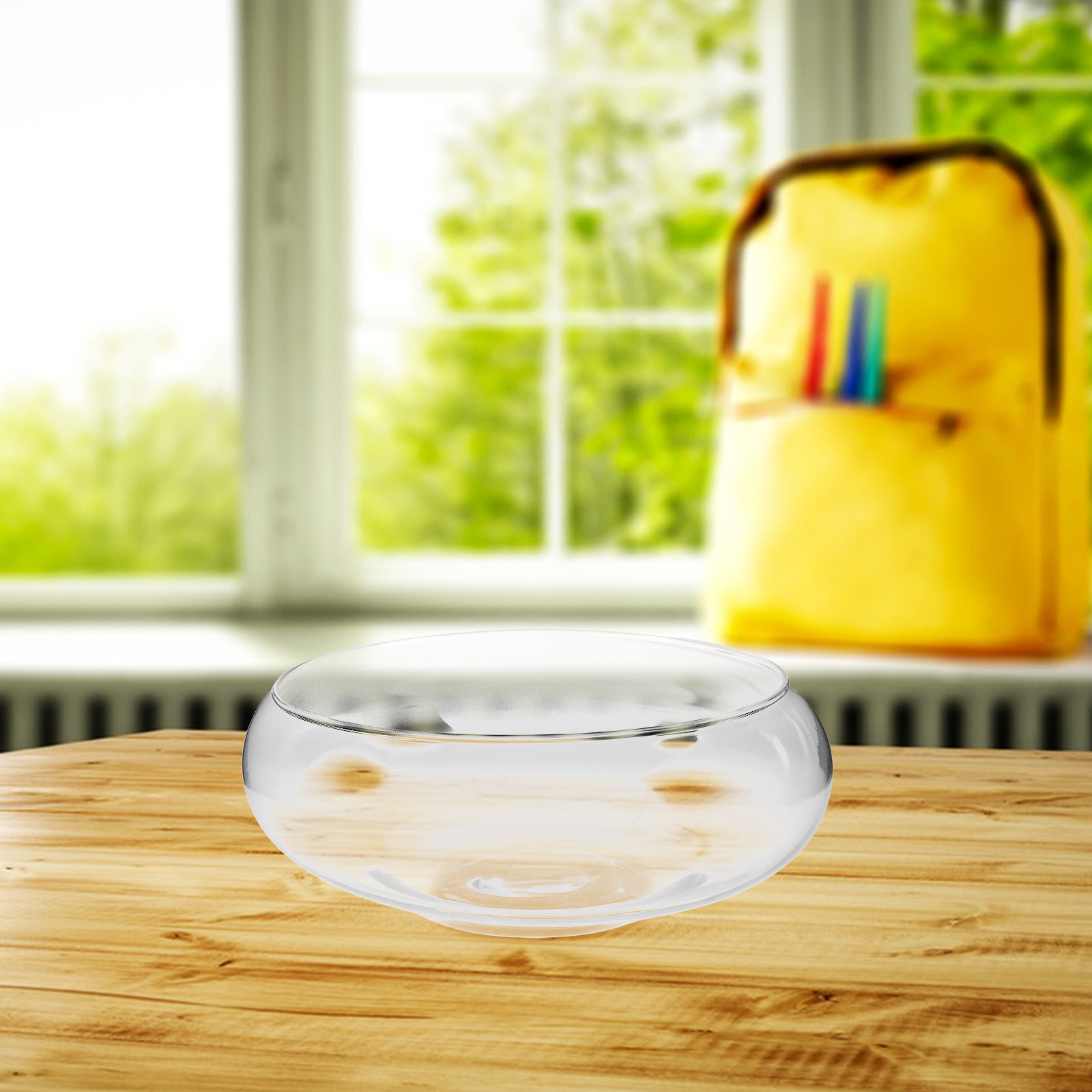 Glass Hydroponic Planter Bowl  - Planted Tank ulasan dan harga