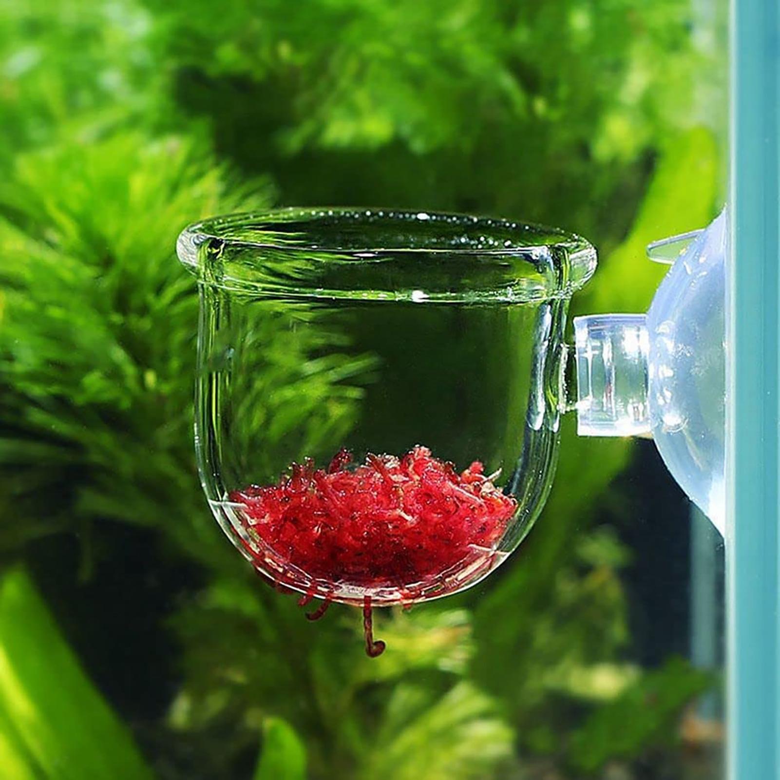 Acrylic Aquatic Plant Cup Aqua - Aquarium Plant Holder ulasan dan harga