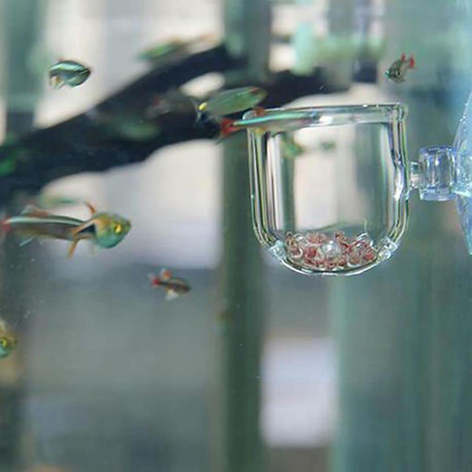 Acrylic Aquatic Plant Cup Aqua - Aquarium Plant Holder ulasan dan harga
