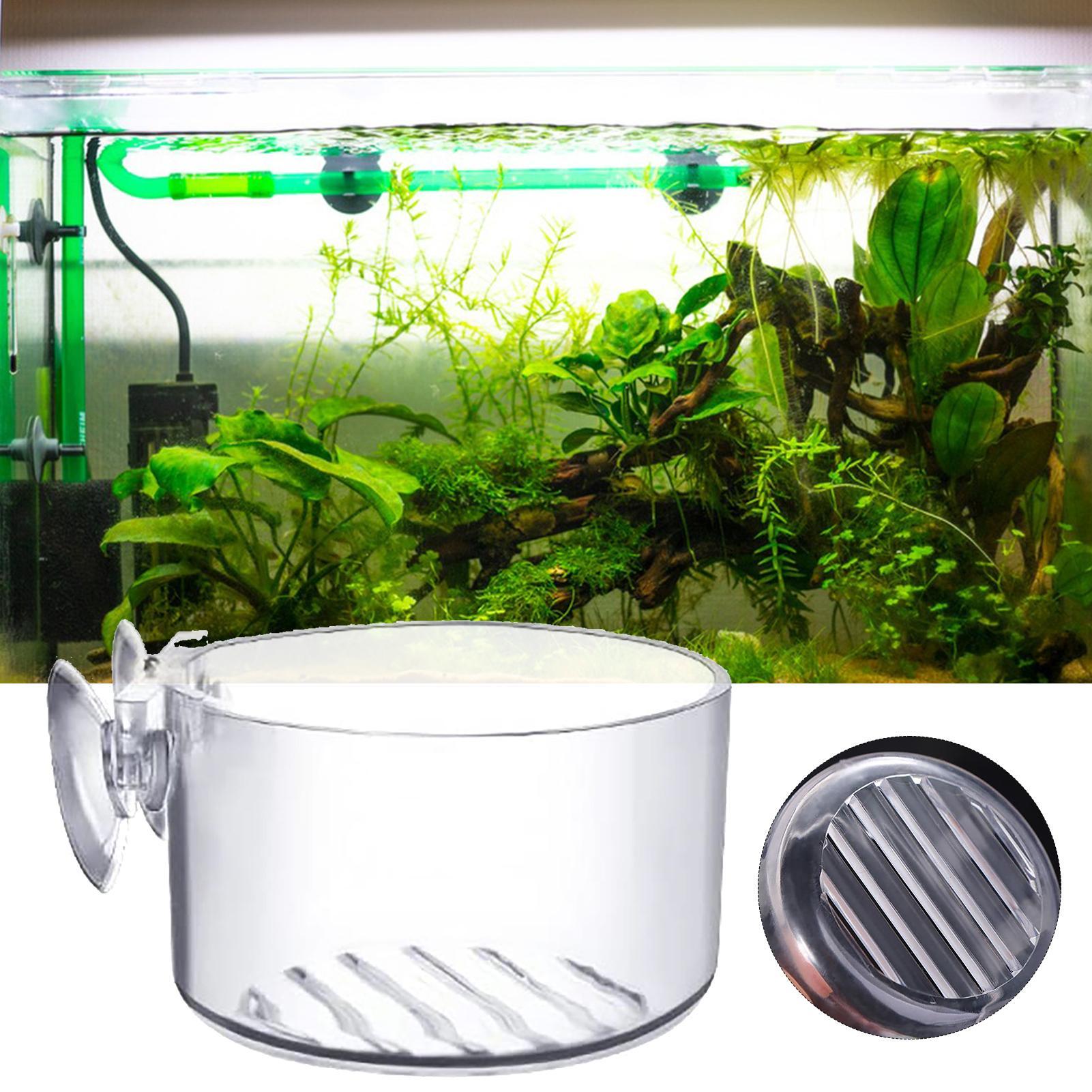 Acrylic Aquatic Plant Cup Aqua - Aquarium Plant Holder ulasan dan harga
